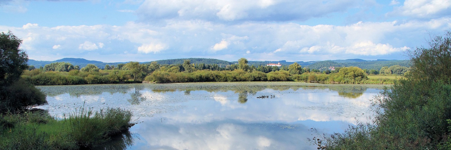 Anbieter und Angebote aus dem Regierungsbezirk Oberpfalz nach Branchen